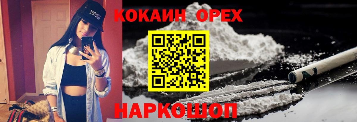 COCAIN Fish Scale  Вход с VPN  Красный Сулин 