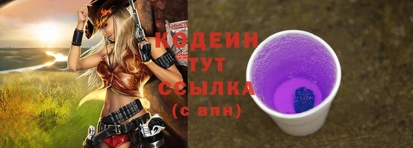 прущий лед Абаза