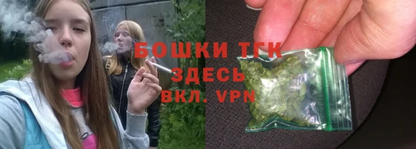 прущий лед Абаза