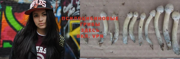 хмурый Абинск