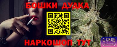 крисы Малоярославец