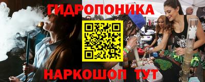 крисы Малоярославец