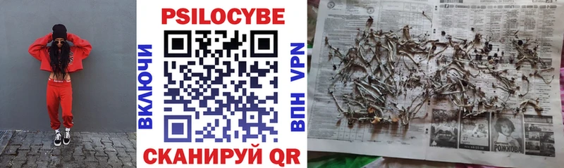 Псилоцибиновые грибы прущие грибы  Красный Сулин 