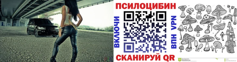 Псилоцибиновые грибы Cubensis Красный Сулин